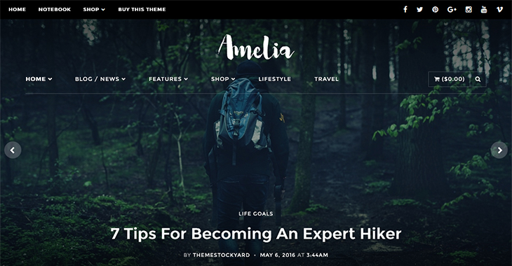 Amelia WordPress Theme