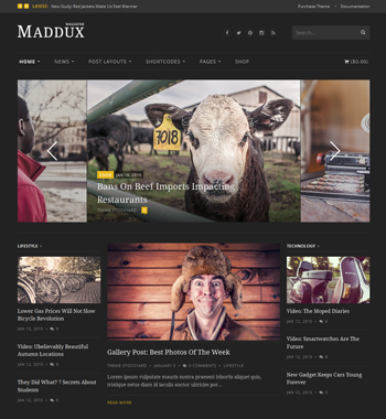 Maddux WordPress Theme